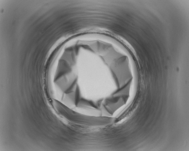 X0000082730997200702232342