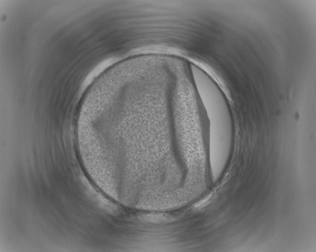 X0000082730998200702232342