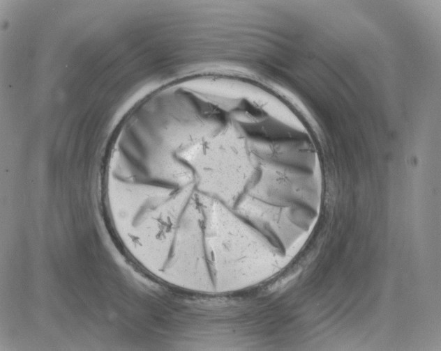 X0000082730999200702232342