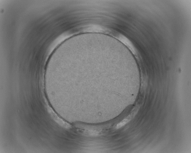 X0000082731000200702232342