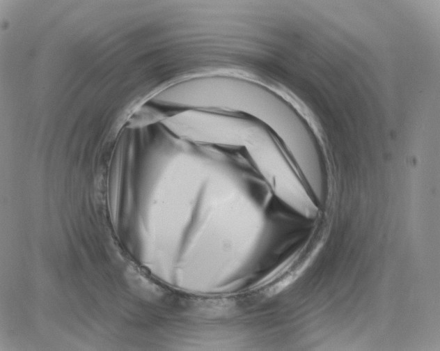 X0000082731001200702232342