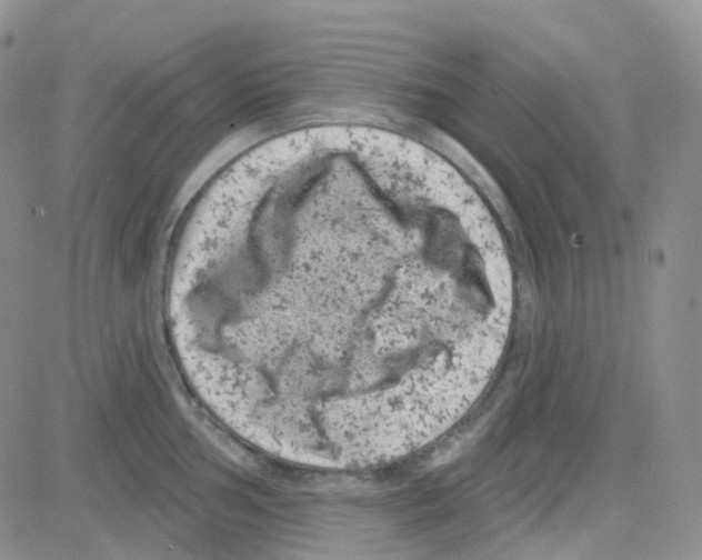 X0000082731002200702232342