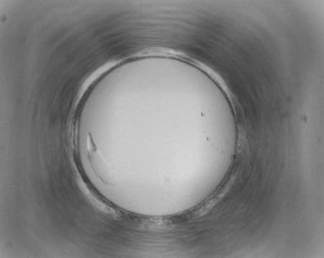 X0000082731003200702232342