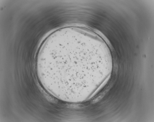 X0000082731004200702232342