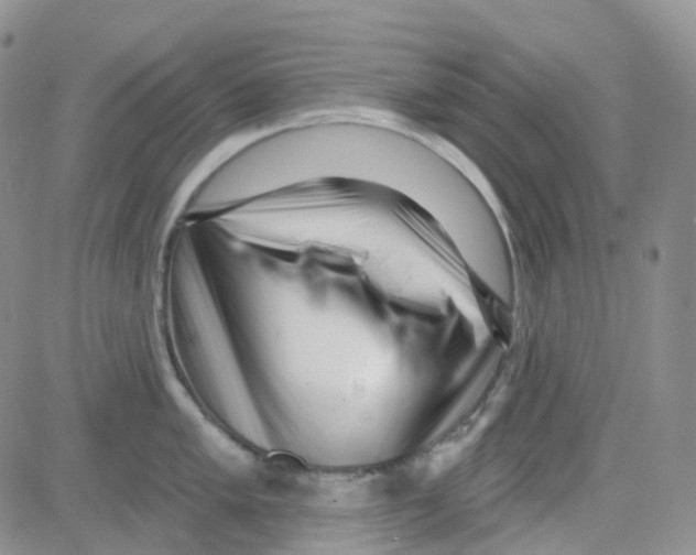 X0000082731005200702232342