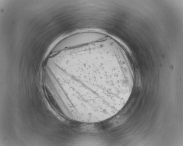 X0000082731006200702232342