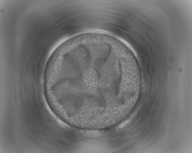 X0000082731007200702232342