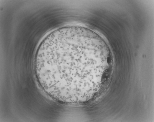 X0000082731008200702232342