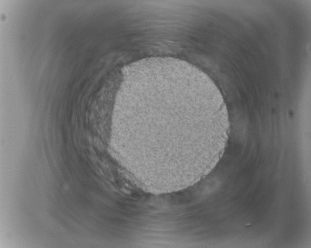 X0000082731009200702232341