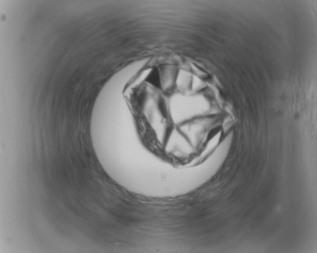 X0000082731010200702232341