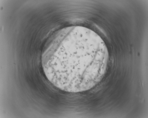 X0000082731012200702232341