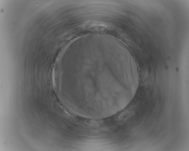 X0000082731013200702232341