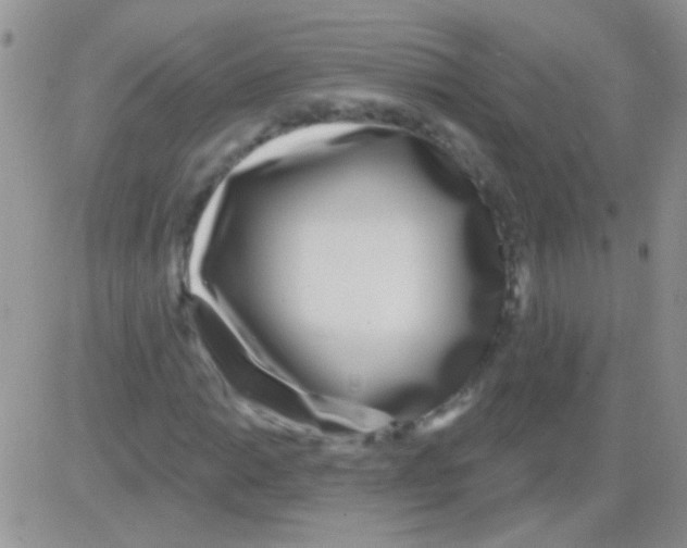 X0000082731014200702232341