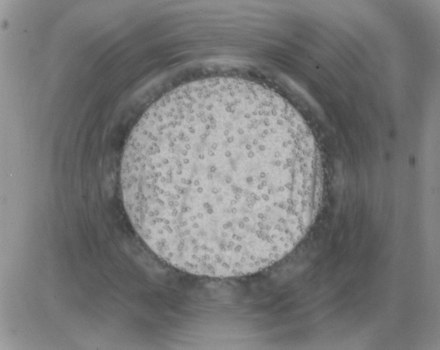 X0000082731015200702232341