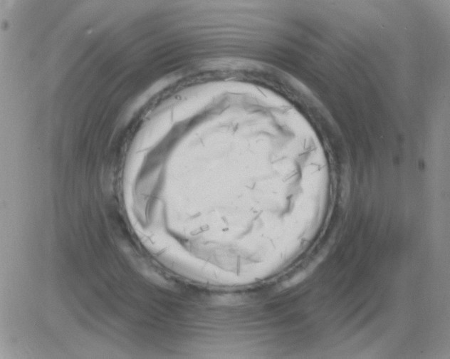 X0000082731017200702232341