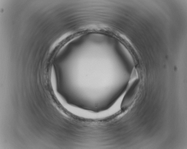 X0000082731018200702232341