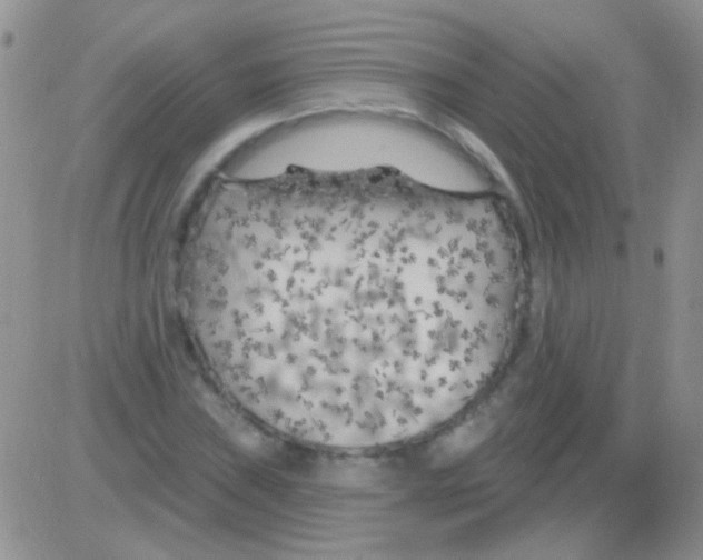 X0000082731019200702232342