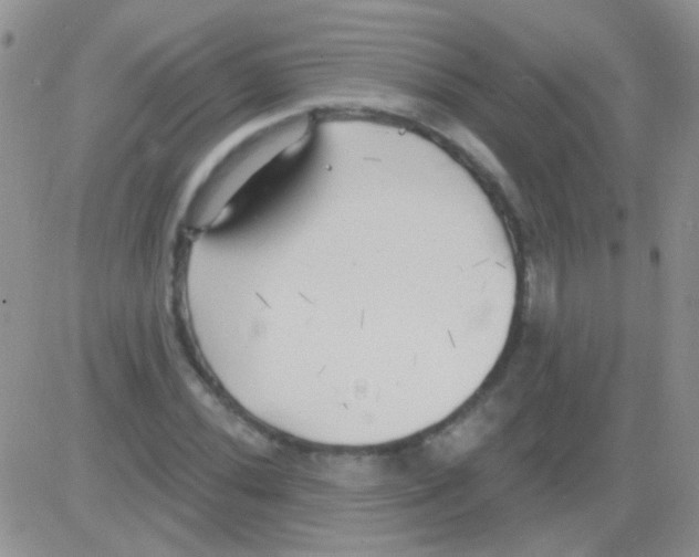 X0000082731020200702232342