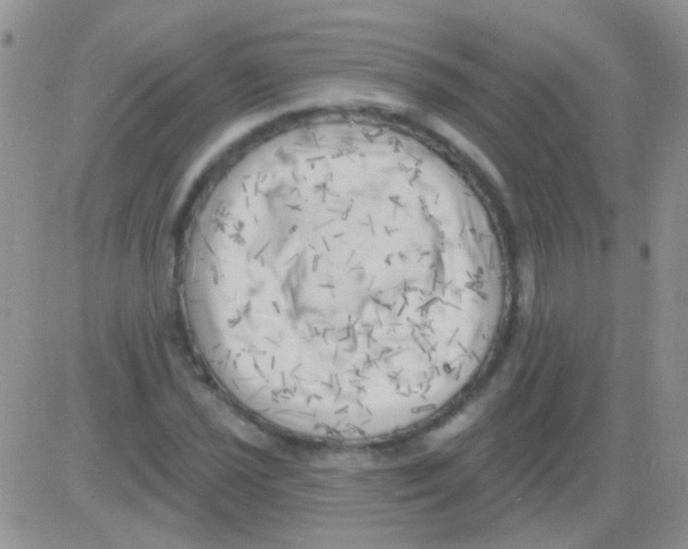 X0000082731021200702232342