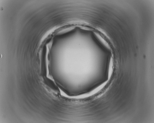 X0000082731022200702232342