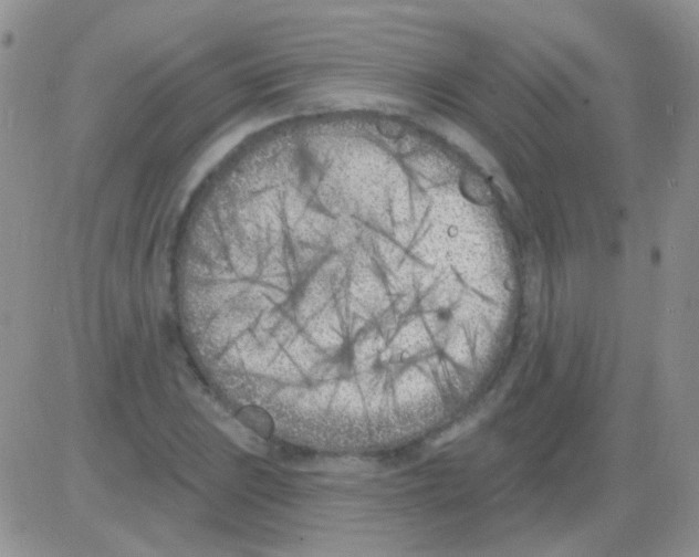 X0000082731023200702232342