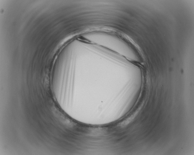 X0000082731025200702232342