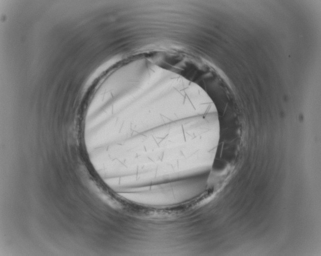 X0000082731026200702232342