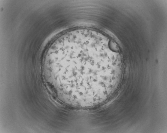 X0000082731027200702232342