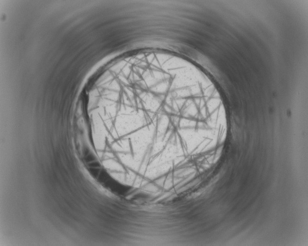 X0000082731028200702232342