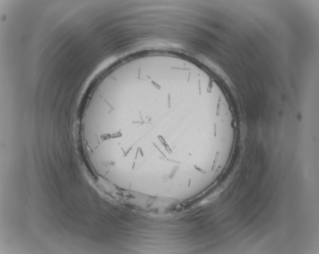 X0000082731029200702232342