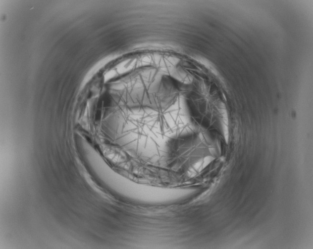 X0000082731030200702232342