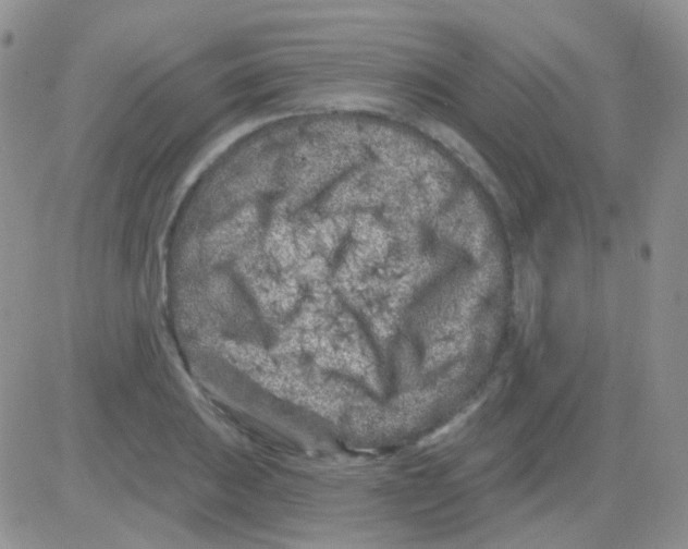 X0000082731031200702232342