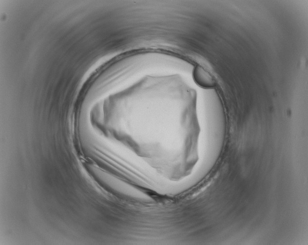 X0000082731032200702232342