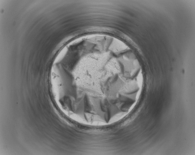 X0000082731033200702232342