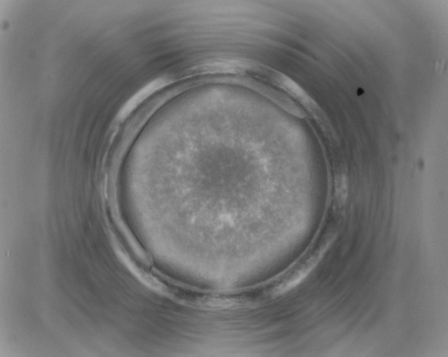 X0000082731034200702232342