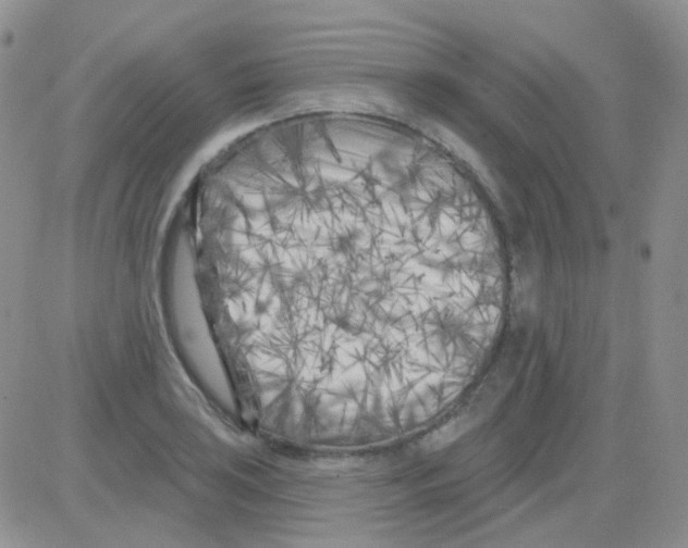 X0000082731035200702232342