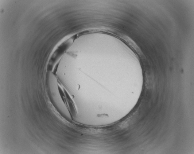 X0000082731036200702232342