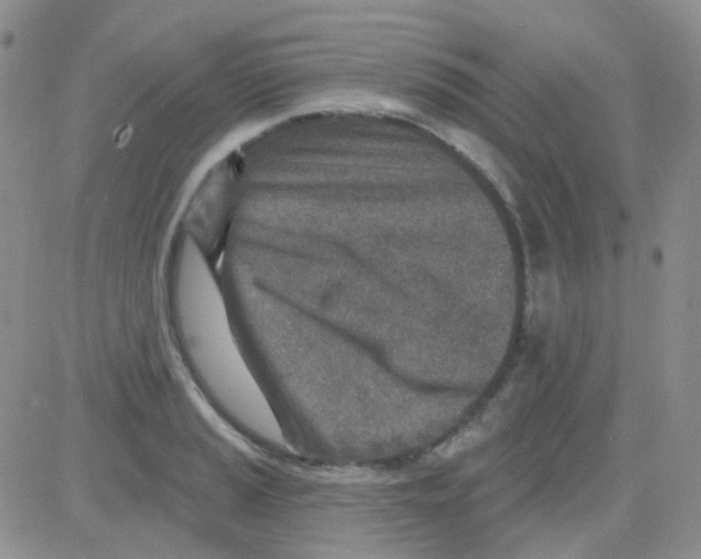 X0000082731037200702232342