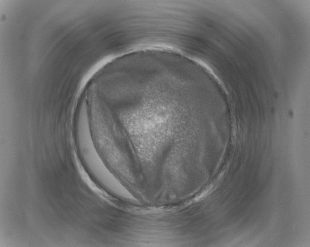 X0000082731038200702232342