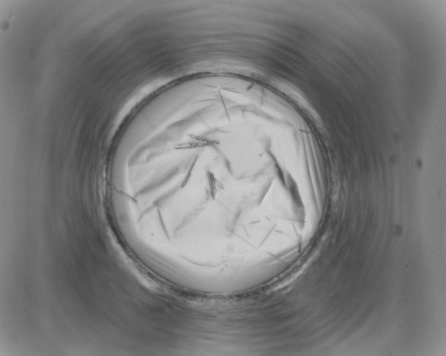 X0000082731040200702232342