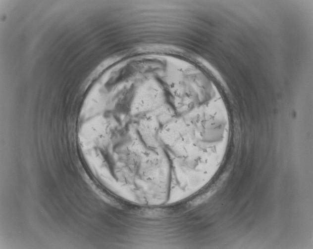 X0000082731041200702232342