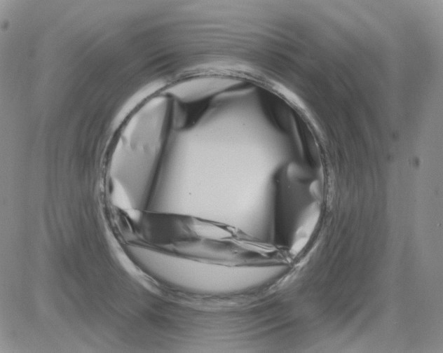 X0000082731042200702232342