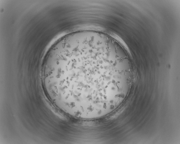 X0000082731043200702232342