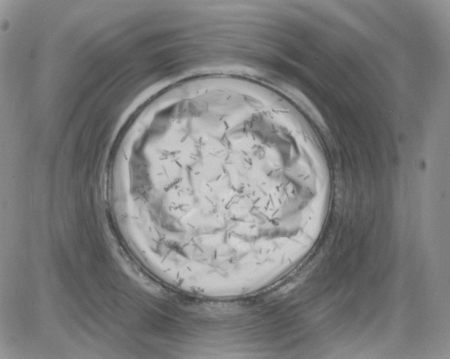 X0000082731044200702232342