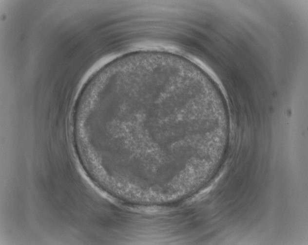 X0000082731045200702232342