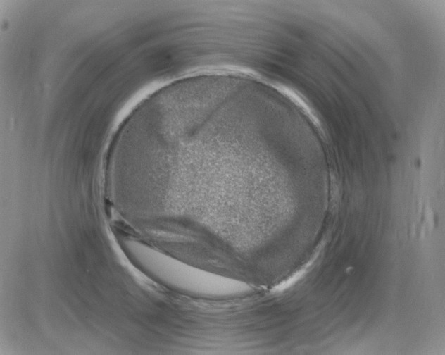 X0000082731046200702232342