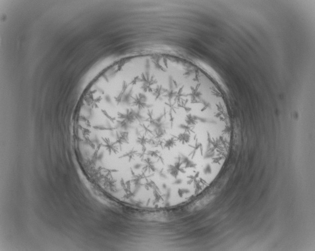 X0000082731047200702232342