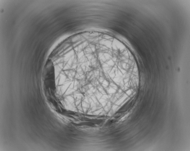 X0000082731048200702232342