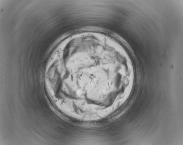 X0000082731049200702232342