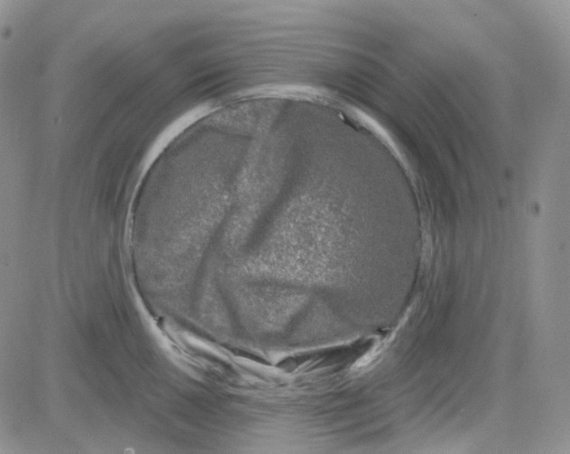 X0000082731050200702232342